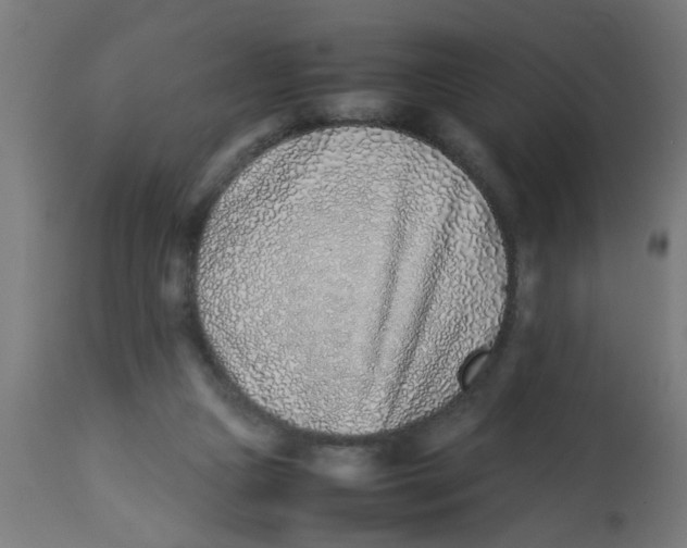 X0000113210161200910081325