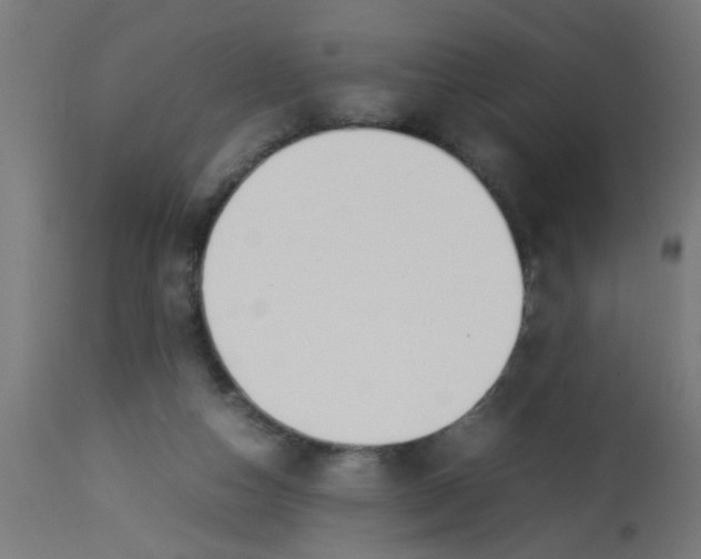 X0000113210162200910081325