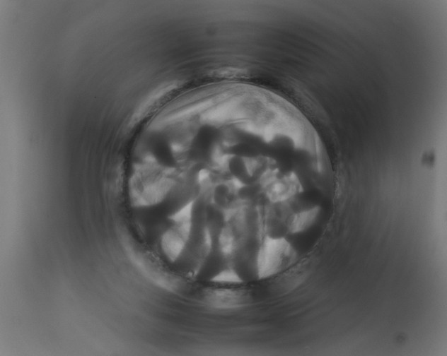 X0000113210163200910081326