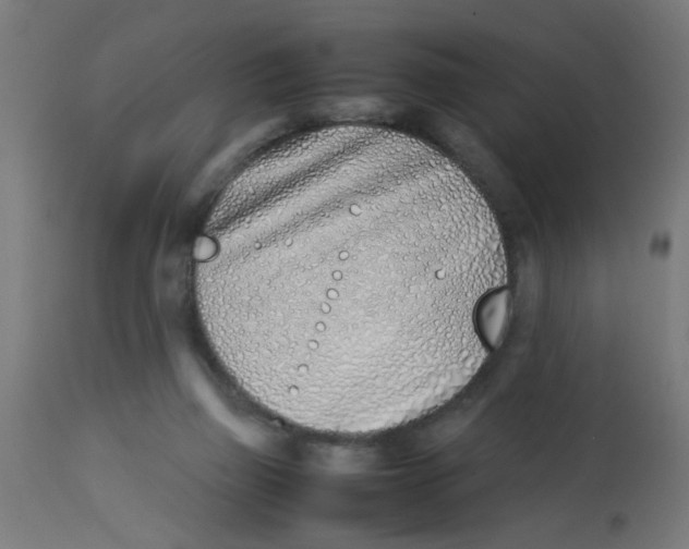 X0000113210165200910081326