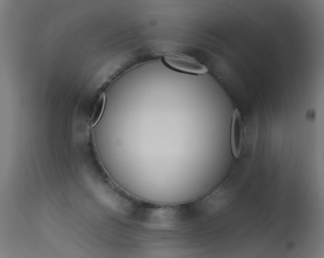 X0000113210168200910081326