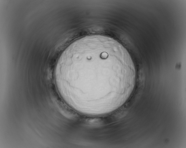 X0000113210173200910081326