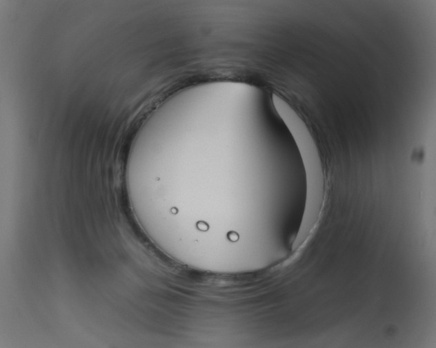 X0000113210174200910081326