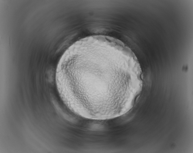 X0000113210175200910081326