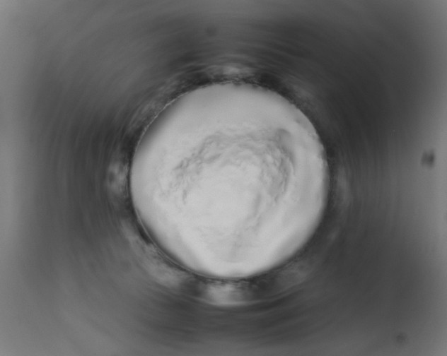 X0000113210177200910081326