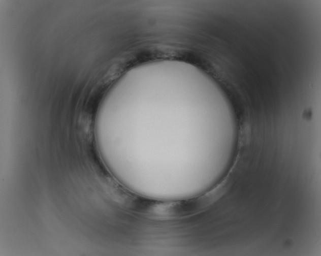 X0000113210178200910081326