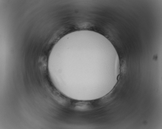 X0000113210179200910081326