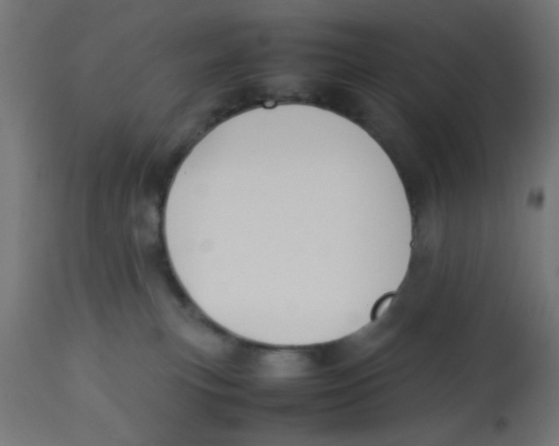 X0000113210183200910081326