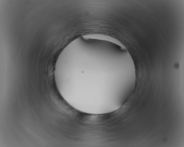 X0000113210184200910081326