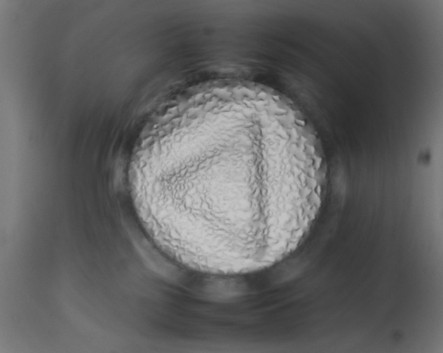 X0000113210185200910081326