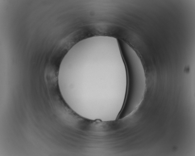 X0000113210186200910081326