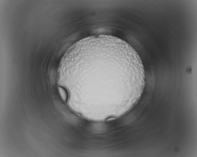 X0000113210189200910081326