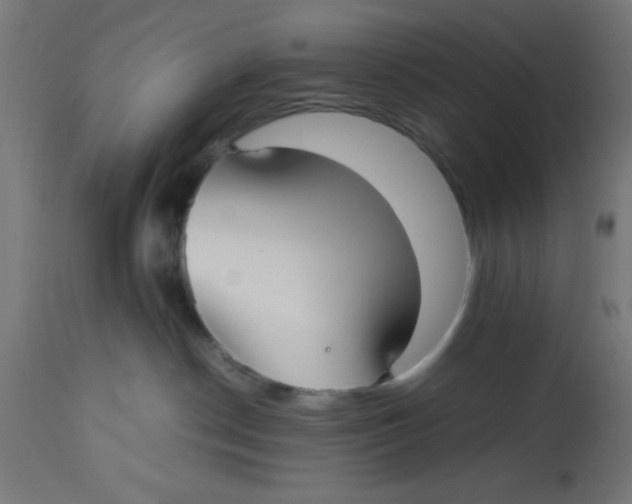 X0000113210190200910081326