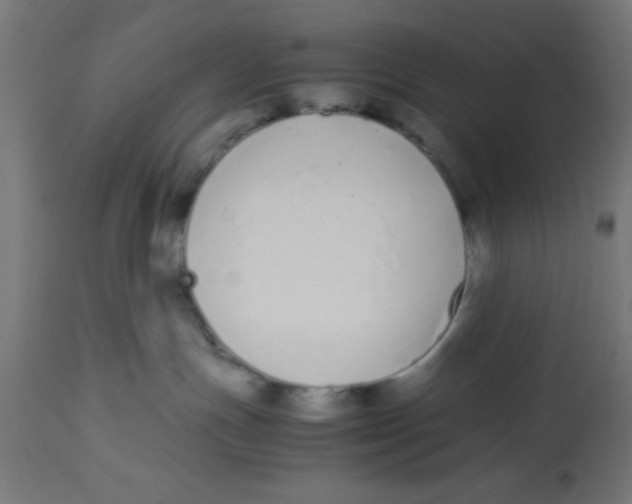 X0000113210191200910081326