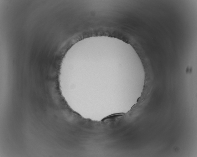 X0000113210192200910081326