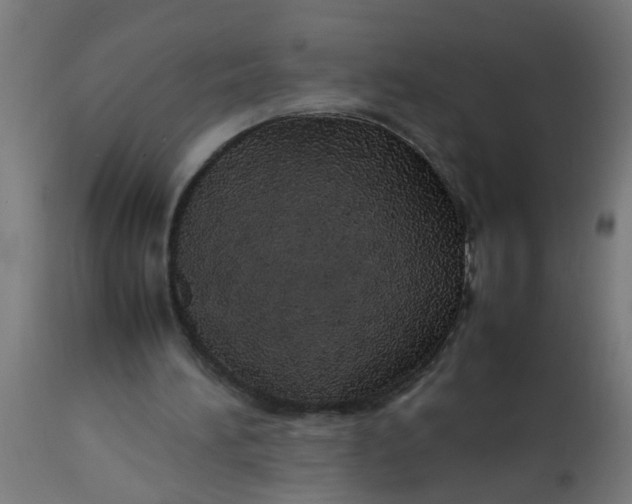 X0000113210196200910081325