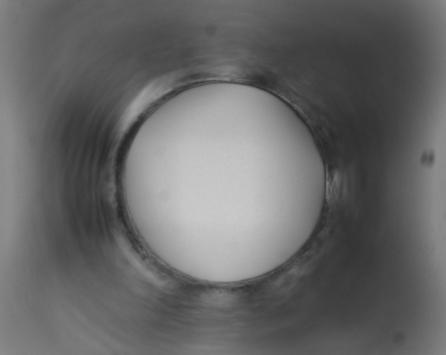 X0000113210198200910081325