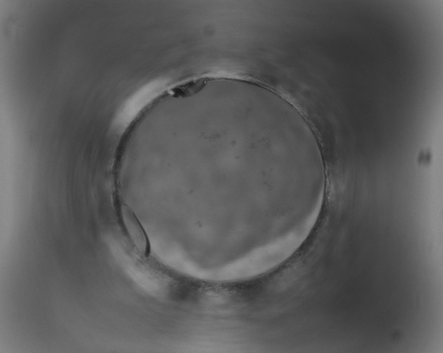 X0000113210199200910081325