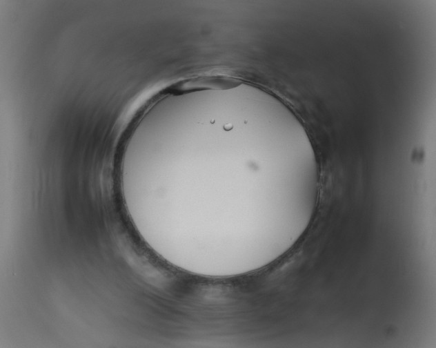 X0000113210200200910081325