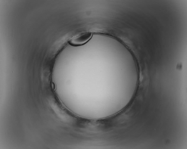 X0000113210201200910081325