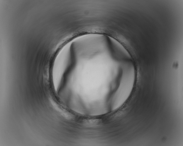 X0000113210202200910081325