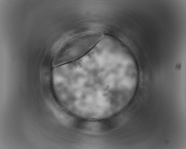 X0000113210203200910081325