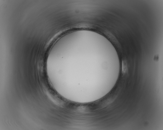 X0000113210204200910081325