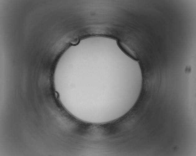 X0000113210207200910081325