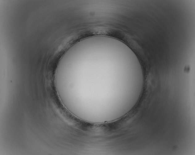 X0000113210209200910081325