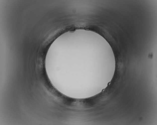 X0000113210211200910081325