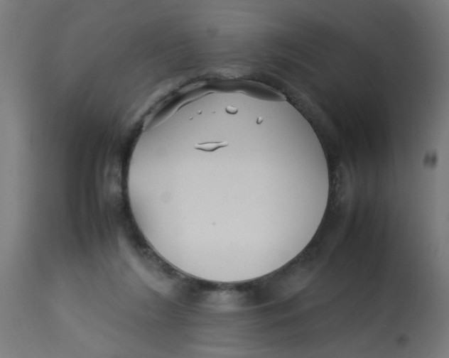 X0000113210212200910081325