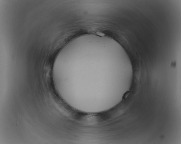 X0000113210219200910081325