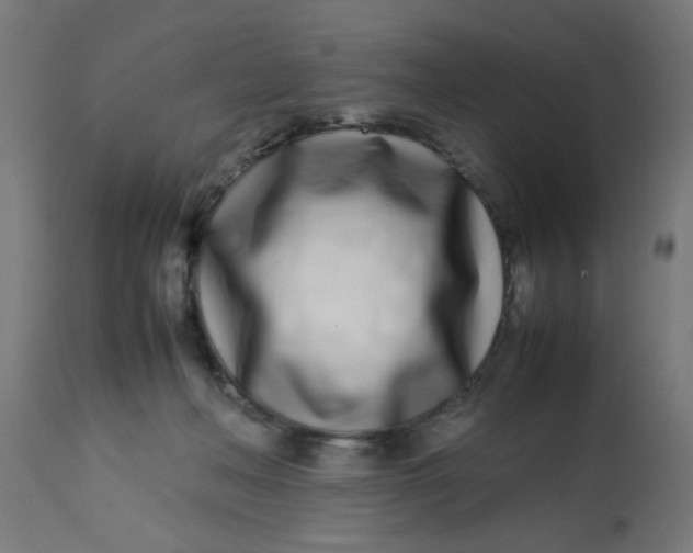 X0000113210222200910081325