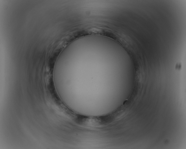 X0000113210223200910081325