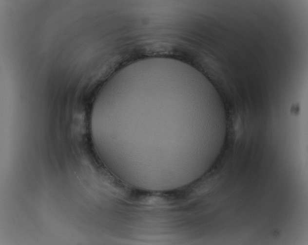 X0000113210224200910081325