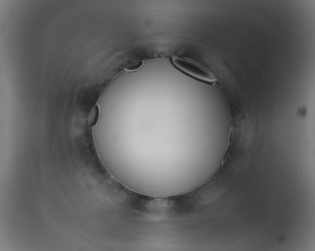 X0000113210225200910081325