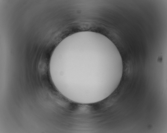 X0000113210226200910081325