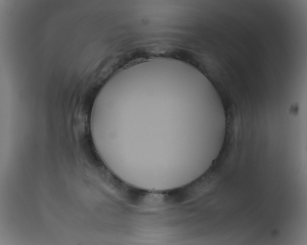 X0000113210227200910081325