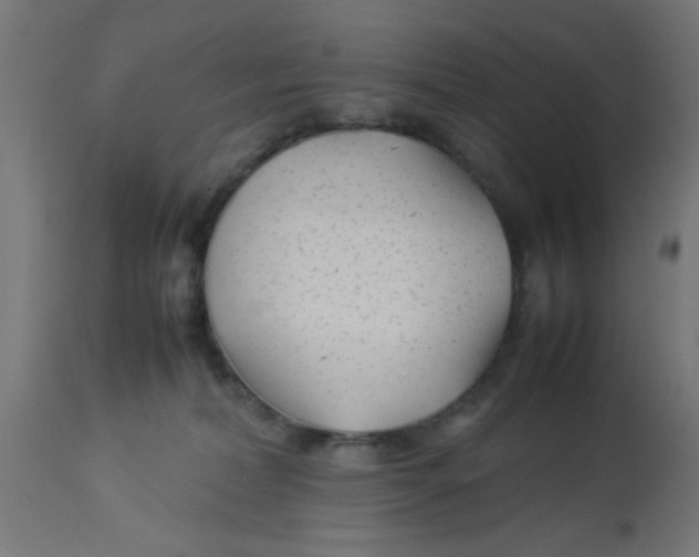 X0000113210228200910081325