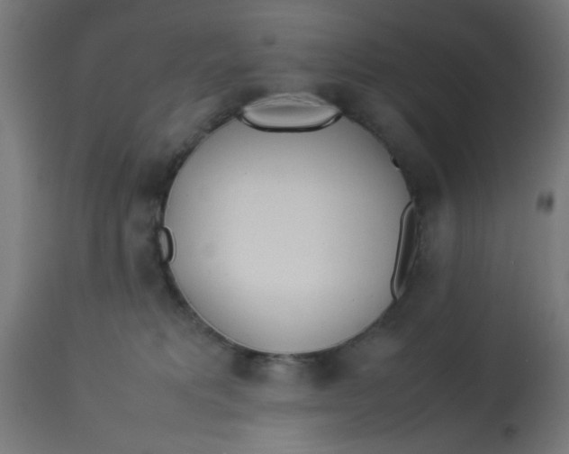 X0000113210229200910081325