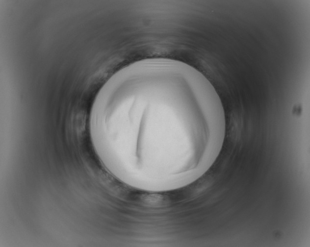 X0000113210230200910081325