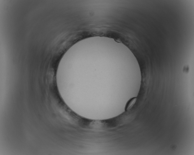 X0000113210231200910081325