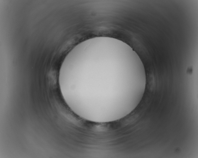 X0000113210232200910081325