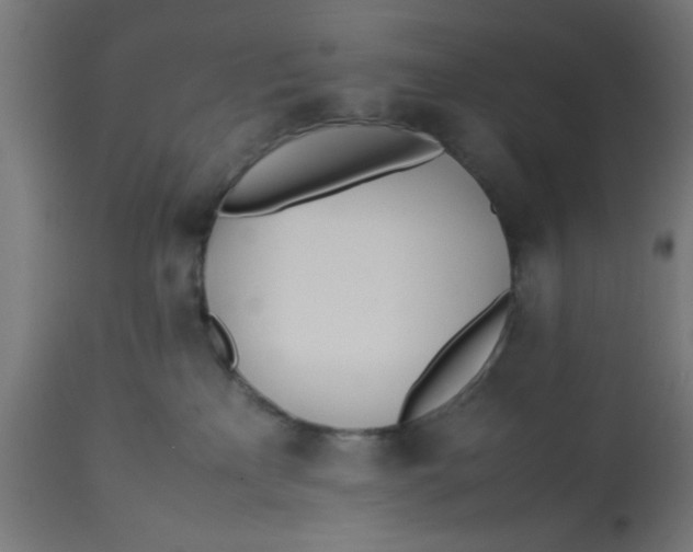 X0000113210233200910081325