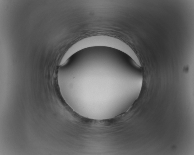 X0000113210235200910081325