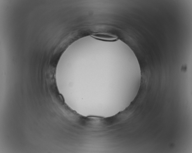 X0000113210237200910081325