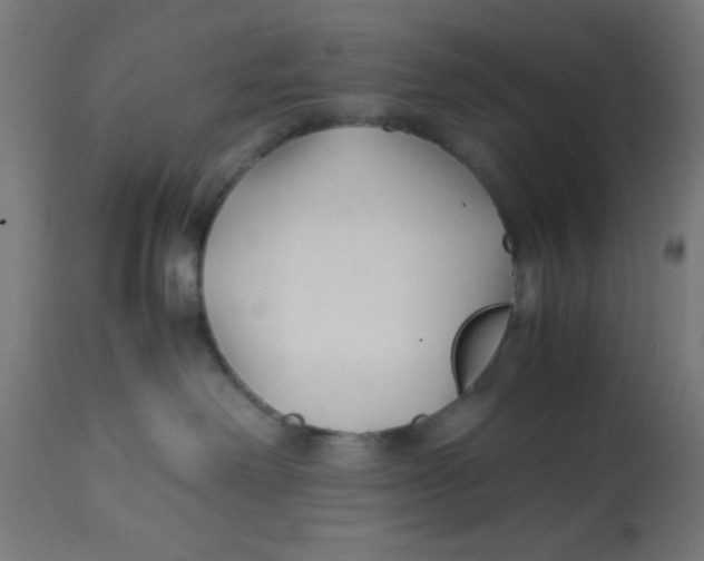 X0000113210238200910081325