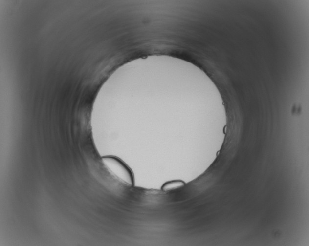 X0000113210240200910081325