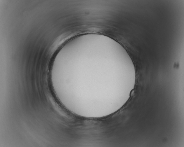 X0000113210242200910081324