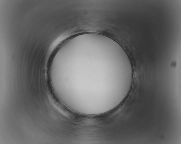 X0000113210246200910081324